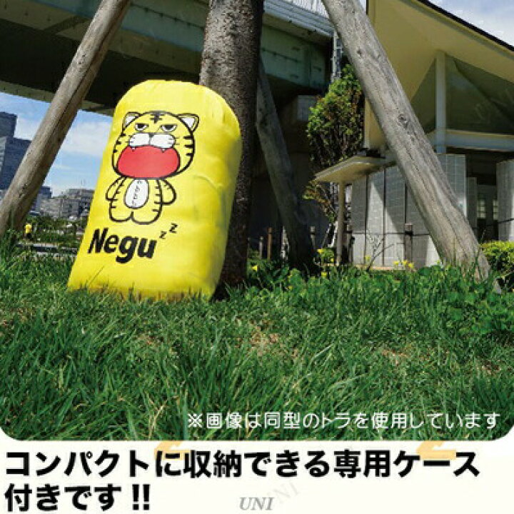 楽天市場】【取寄品】 サザックアイランド(SAZAC Island) ガイコツ 