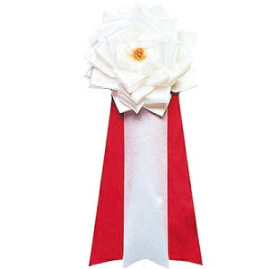 yiz RXv  僊{o  y o v` ObY グObY p[eB[pi Cxgpi nEB ߑ L L ϑObY p[eB[ObY z