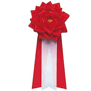 yiz RXv  僊{o  y o nEB ߑ L v` ϑObY p[eB[ObY ObY グObY Cxgpi p[eB[pi L z