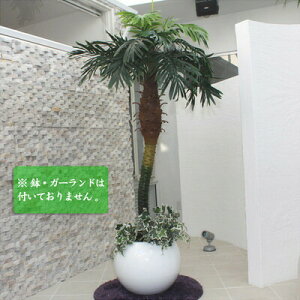 lHϗtA G} p[V 180cm y G} tFCNO[ L V̖ ϗtA CeA CeAO[ q R z