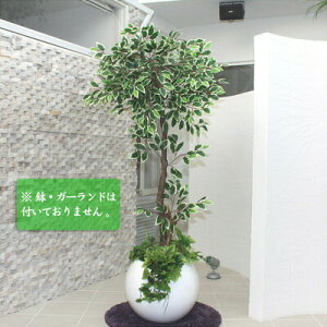 175cmzCgtBJX G}(lHϗtA) y G} tFCNO[ L Xe ϗtA CeAO[ R z