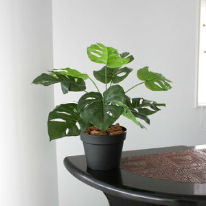 Funderful 人工観葉植物 光触媒 ミニモンステラ 45cm 【 光触媒 フェイクグリーン 消臭 観葉植物 小さい ミニ 抗菌 ミニサイズ ミニ観葉植物 インテリアグリーン 】