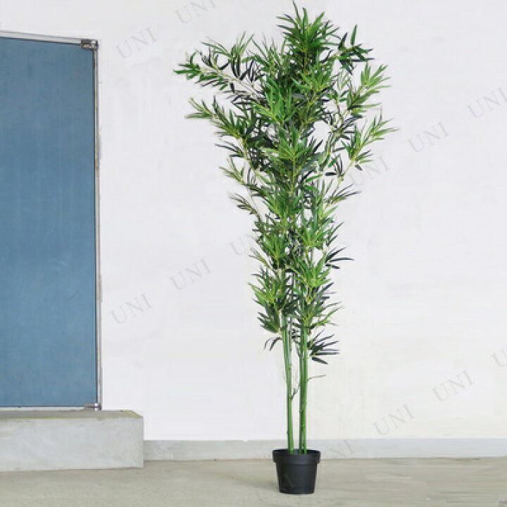楽天市場】人工観葉植物 光触媒 バンブー 竹 210cm ENTERPRISE 店舗 
