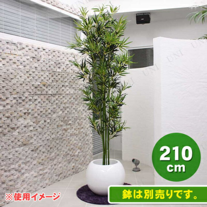 楽天市場】人工観葉植物 光触媒 バンブー 竹 210cm ENTERPRISE 店舗 