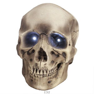 ڂI40cmWCAgXJ y XJ hN | XPg G [ nEB KCRc z[fBXvC u IuWF A z