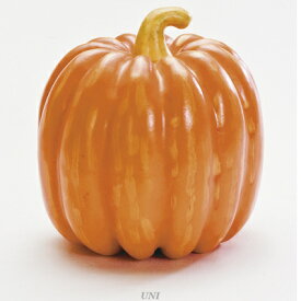 楽天市場 ハロウィン 飾り カボチャの通販