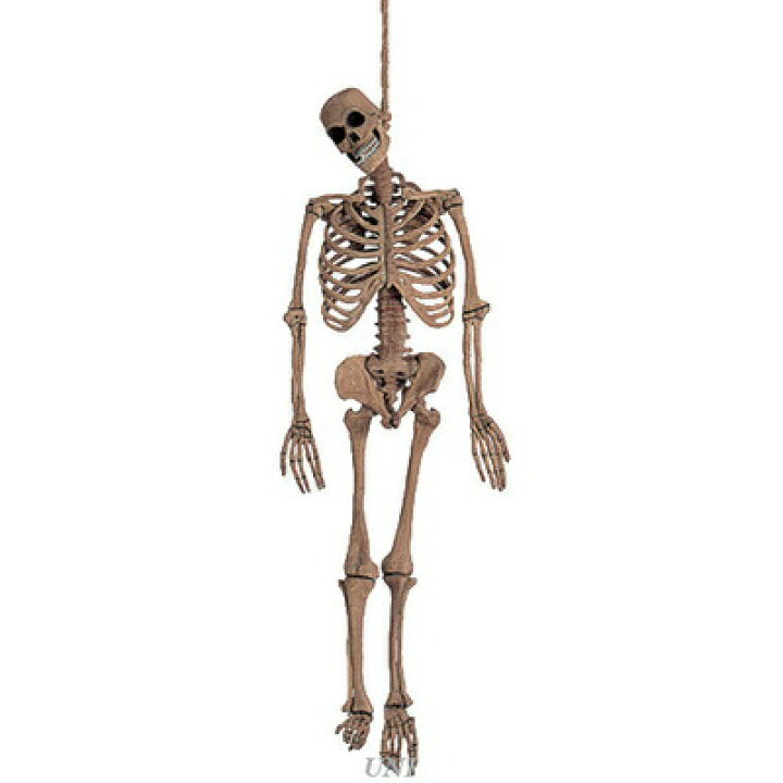 楽天市場】150cm(5ft)ラテックススケルトン Forum ハロウィン装飾品 