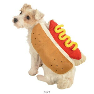 zbghbO ybgRX`[ L y ybgpi  hbOEFA Ck ybgObY  pi z