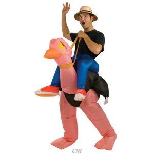 RXv  _`Eɏj Std (Ct[^u) y RXv ߑ nEB  p[eB[ObY  RX`[  lp RX`[ 낢 