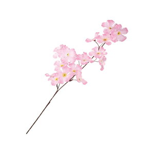 [2_Zbg] 64cmXvC  y    TN w } Xܑi ̑i Ԍ POP fBXvC  fR[V t z