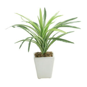 lHϗtA ~j|bg hZi 22cm y ϗtA  tFCNO[ ~j ~jϗtA K̖ ~jTCY CeAO[ z