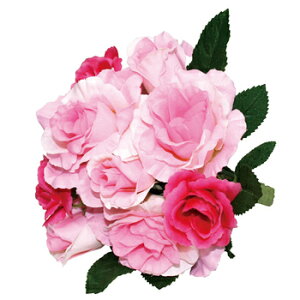 yiz [Yu[P y tFCNt[ lHϗtA KN o  POP Xܑi A[gt[ fR[V ΂ ̑i fBXvC CeAt[  z