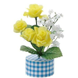 [Y|bgES y Xܑi  ̓ fBXvC fR[V ̑i POP z