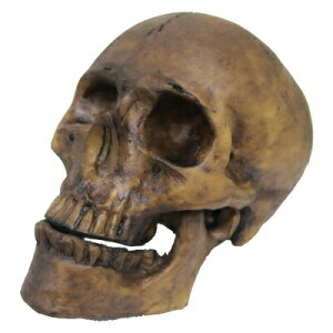 AW (fBXvCop) y XJ hN | XPg nEB [ u G IuWF z[fBXvC KCRc z