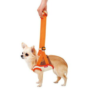 yiz yeBI zuttones⏕n[lXOpS y ybgpi p ybgObY Ck pi pn[lX pi z