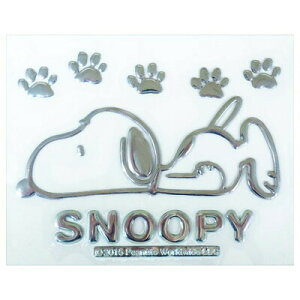 GuXebJ[ Xk[s[A y J[pi Xk[s[ ԊOpi JbeBOV[g z