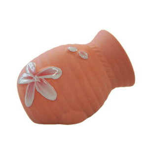 ANAEpi ^Rc{  y ybgObY CAEgpi ANZT[ ANAE i pi ybgpi p z