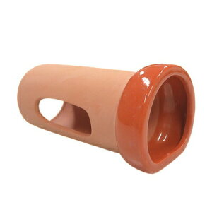 ANAEpi hJ  y i ANZT[ ybgpi ybgObY ANAE CAEgpi p pi z