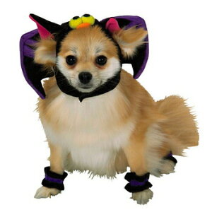 ybgpobgS y ybgpi  ybgObY Ck  ybgRX`[ pi hbOEFA z