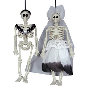 ~jXPgJbv zCg y XJ hN nMOXPg [ nEB | ݕ z[fBXvC z[nMO ݂ G KCRc ݂艺 ݂蕨 u 