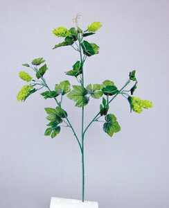 yiz XvCzbv y Xܑi O[[t fR[V ̑i t  fBXvC POP z