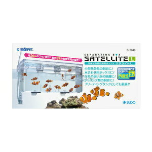 yiz ANAEpi TeCg L y ybgpi ybgObY up z