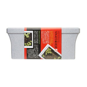 _J̔A y _J ANAEpi ߂ _J ybgpi ybgObY z