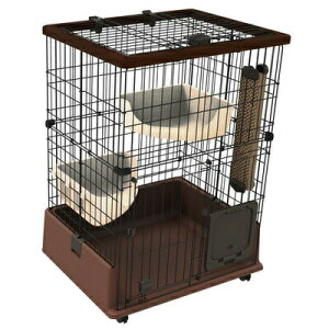 yiz yeBI(Petio) lRR Lbg[T[N y P[W ybgObY ybgpi Lpi z