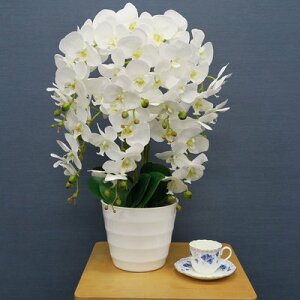 lHϗtA Ӓ  65cm y  CeA Ӓ tFCNt[ CeAt[ A[gt[ R`E z