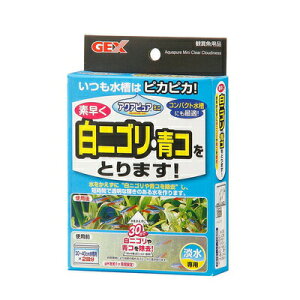 yiz ~jpAPM-4 y pi ybgObY ybgpi p ANAEpi Ǘi pi  z