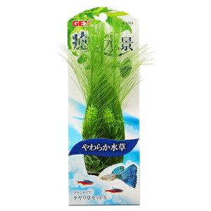 yiz PZbgS y  ybgpi p ybgObY pi ANAEpi z