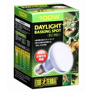 eEpv TO[ X|bgCg 100W y ঒  ybgpi ybgObY pi z