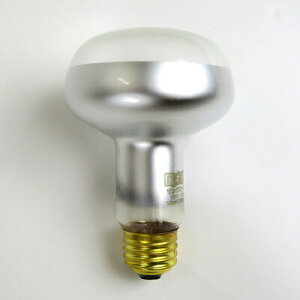 eEpv TO[^Cg X|bgv 100W y pi  ybgObY ঒ ybgpi z