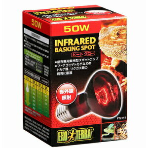 yiz eEpv q[gO[ X|bgv 50W y ybgObY  ঒ ybgpi pi z