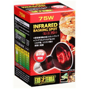 yiz eEpv q[gO[ X|bgv 75W y ybgpi ঒  pi ybgObY z