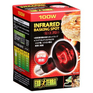 yiz eEpv q[gO[ X|bgv 100W y ybgObY  ঒ ybgpi pi z