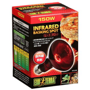 yiz eEpv q[gO[ X|bgv 150W y pi ঒  ybgpi ybgObY z