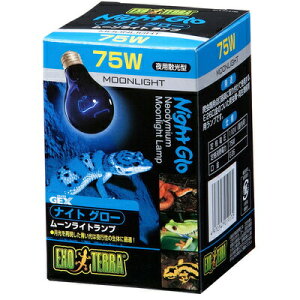 yiz eEpv iCgO[ [Cgv 75W y ybgObY  ঒ ybgpi pi z