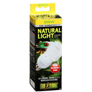 yiz UVv i`Cg 26W y pi ybgpi ঒ ybgObY  z