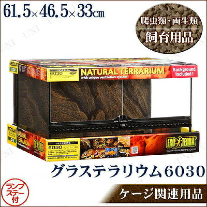 楽天市場】【取寄品】 爬虫類・両生類用ケージ グラステラリウム 6030 
