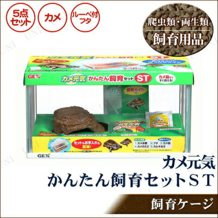 楽天市場】水槽 カメ元気かんたん飼育セット ST ジェックス 爬虫類 