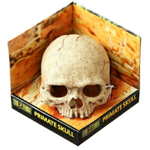 yiz eEpANZT[ XJ y i  ybgObY  CAEgpi ybgpi ঒ z