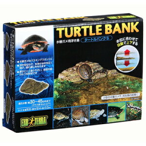 yiz pANZT[  ^[goN S y  i ybgpi Tp J   ybgObY CAEgpi z