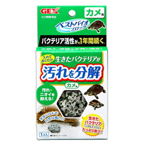 xXgoCIubN Jp y ybgObY ঒ ybgpi Tp wXPA z