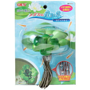 yiz _J̎Y zeCAIC y _J  pi ybgObY ybgpi p ANAEpi z