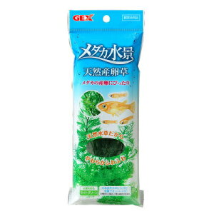 yiz [2_Zbg] _Ji VRY y V_A ybgObY Ypi ANAEpi ybgpi  pi p z