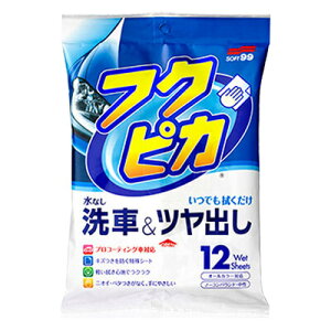 \tg99 tNsJ12 4.0 y PApi R[eBO ԗpi bNX J[pi eiXpi z