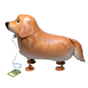 yiz Ups[ go[ 10 y UD  tBD A~zC ӂ tBo[ }C[o[ p[eB[pi p[eB[ObY Aj} Cx