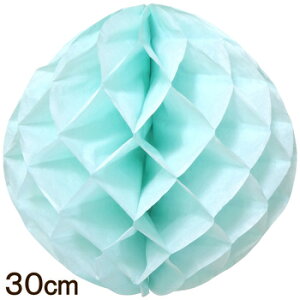 psG|| 30cm ~g y  p[eB[ t CeAG Ǌ| 񎟉 EH[fR[V i p[eB[ObY p[eB[pi njJ{[ 