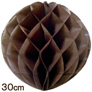 psG|| 30cm VR y  p[eB[ t CeAG Ǌ| Cxgpi i  njJ{[ p[eB[pi ap[eB[ o[Xf[p[eB